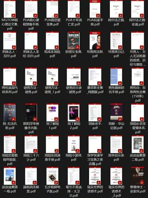 男性泡妞电子书大合集，提升约会与社交技巧的实用指南