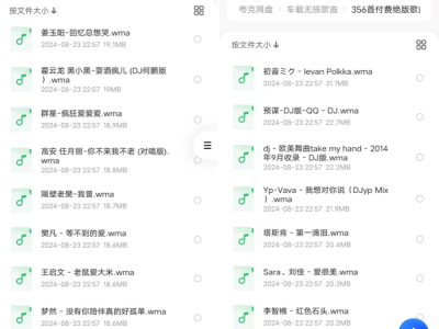 356首付费绝版歌曲【转存即听】