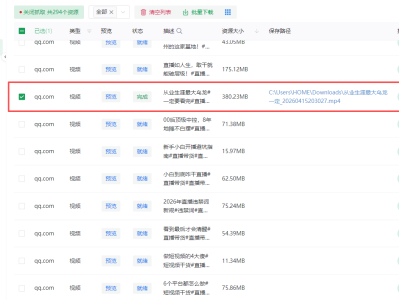爱享素材下载器: 一键嗅探全网资源
