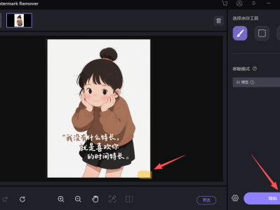 图片视频去水印软件