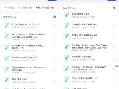 网易云评论超10W+的歌曲合集896首